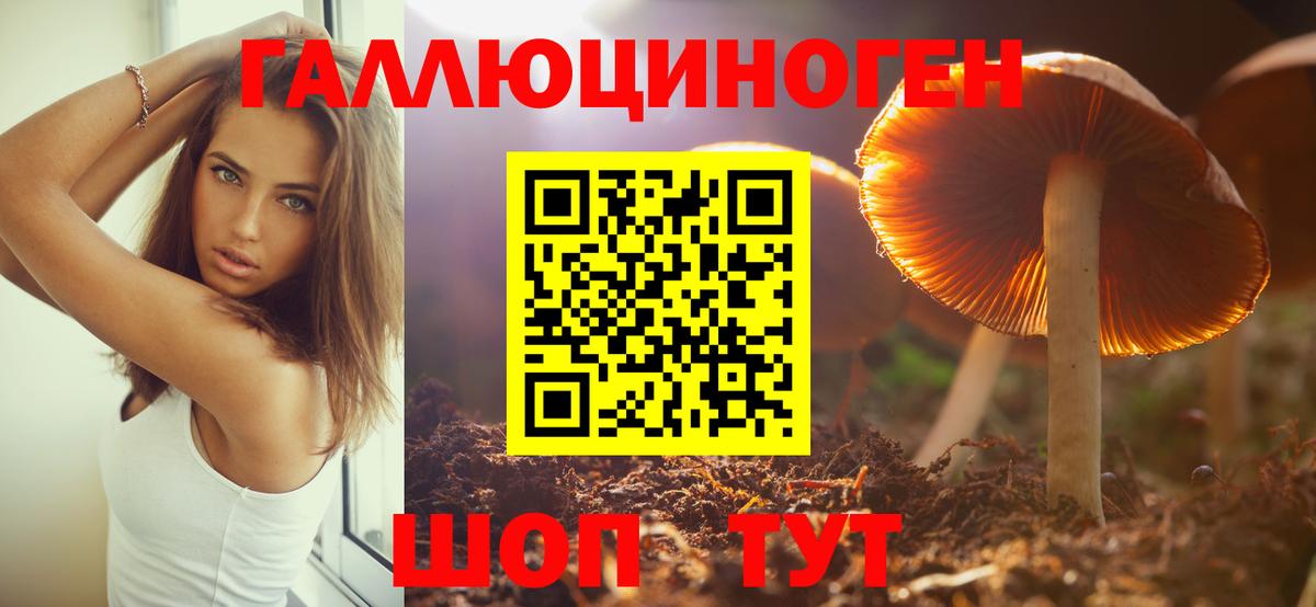 Псилоцибиновые грибы Psilocybe  Вход с VPN  Лысьва  Псилоцибиновые грибы MAGIC MUSHROOMS 
